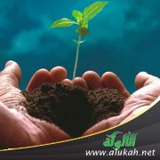 نزول الرحمة في التحدث بالنعمة