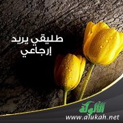 طليقي يريد إرجاعي