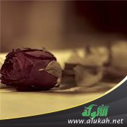 ما الحل مع زميلتي في العمل ؟