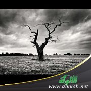 والموت يا صاحبي..