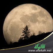 القمر لا يكذب (قصة للأطفال)