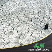 الجوع.. لا حل بكم مكروه