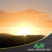 قصة هداية بين السماء والأرض!