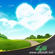 طبق إلى السماء (قصة قصيرة)