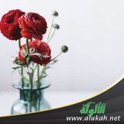 أحسنوا إلى جيرانكم (خطبة)