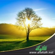 بيئات