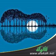 عزف منفرد