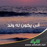 أنى يكون له ولد؟!