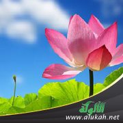ضبط القلب طريق للسعادة