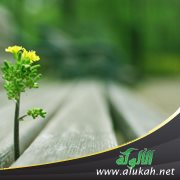 نداء الفطرة
