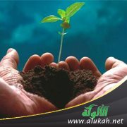 لا راد لرحمة الله أبدا (خطبة)