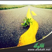 التمسك بالطريق القويم والصراط المستقيم