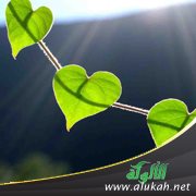 الإيمان والثقة بالله والصبر