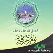 عرفة يوم تجاب فيه الدعوات وتقال العثرات
