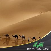 الأحاديث الطوال (13) حديث الهجرة