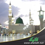 التمسك بالسنة