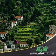 المجزرة في يوغوسلافيا