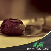 مشكلتي مع أخت زوجي
