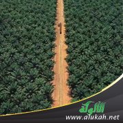 وقف لله تعالى