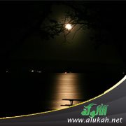 خلوة الضياع