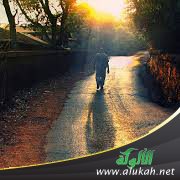 طريق الفلاح