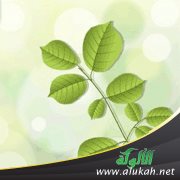 التضحية