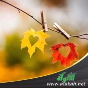 لطف الله تعالى (1)