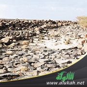 أبرهة يعود من جديد