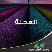 العجلة