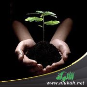 التربية بالعطاء