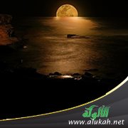 قناديل الحكم (4)