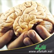 أهمية العقل