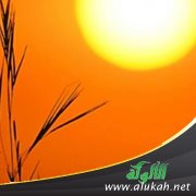 وأنا خيركم لأهلي