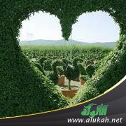 البعد عن مصدر النور