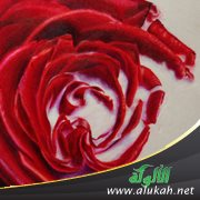 أريني ثلوج العشق (قصيدة)