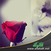 بوح!