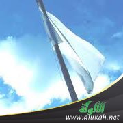 خسرت يوم رفعت العلم الأبيض