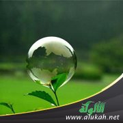 الجنة أقرب إلى أحدكم من شراك نعله والنار مثل ذلك