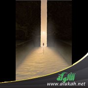 أفكر في الهروب من البيت