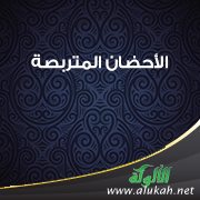 الأحضان المتربصة!
