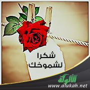 شكرًا لشموخك