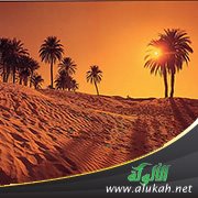 حديث: لما كذبتني قريش قمت في الحجر