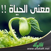 معنى الحياة الواسع