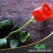 رفض الأم للزواج