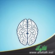 في عقولنا نافذة تطل على عالم آخر