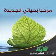 مرحبا بحياتي الجديدة!