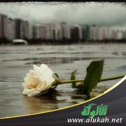 زوجي يحتقر أهلي