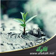 الشهامة ومجالاتها وأثرها على الفرد والمجتمع 