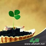الرحمة لا حدود لها