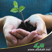 قيم الخير